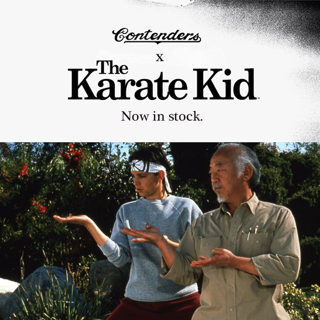 Cobrai Kai is making a comeback! What team are you on?