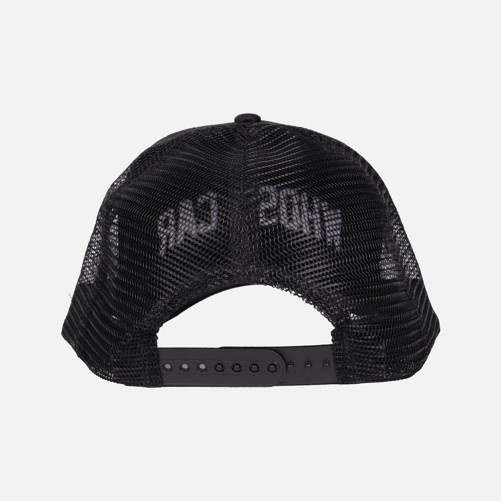 WHOSE CAR TRUCKER SNAPBACK