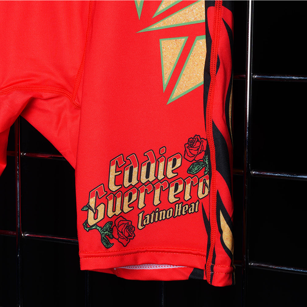 WWE PAST AND PRESENT 3 PACK BRIEFS