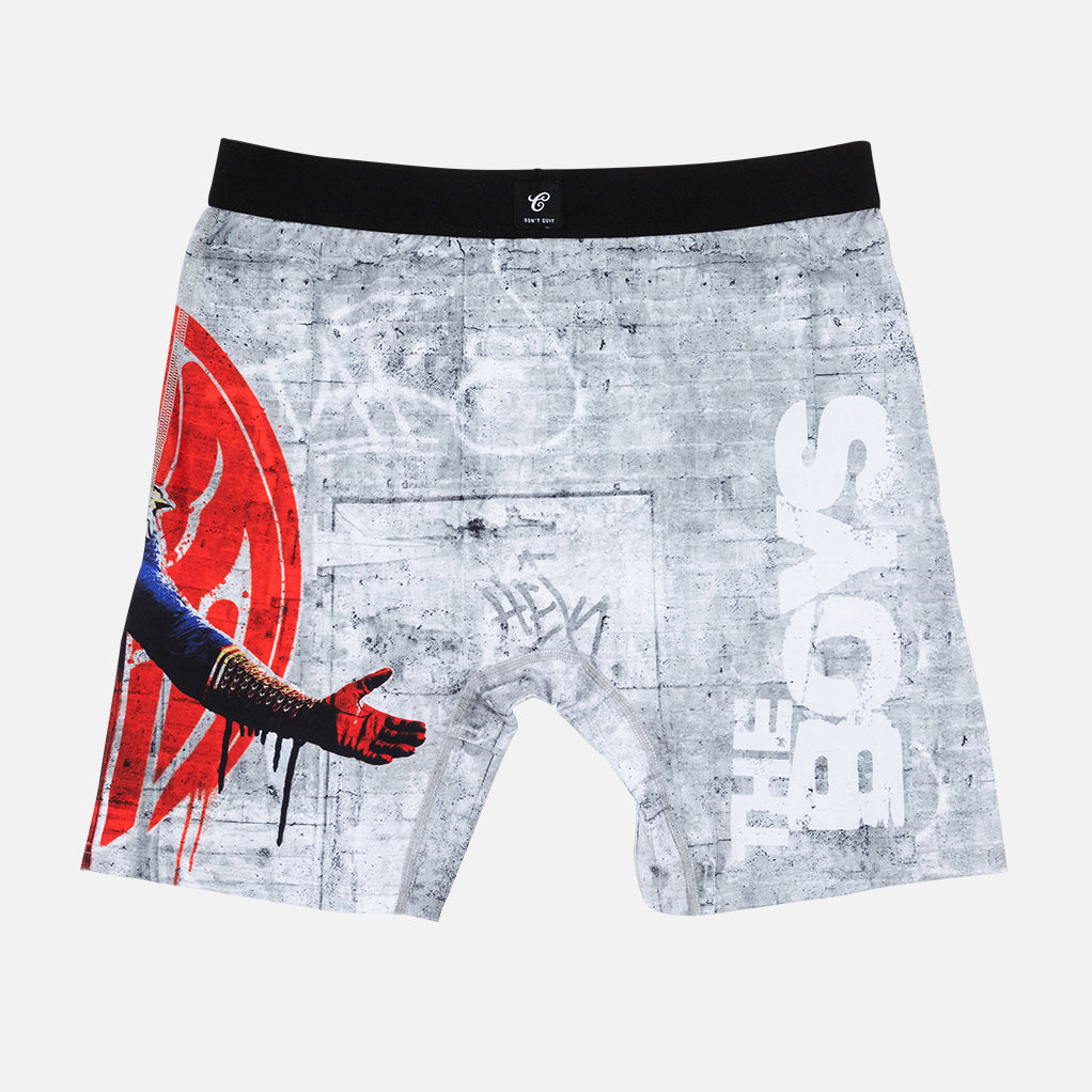 THE BOYS NEVER MEET YOUR HEROES BRIEF