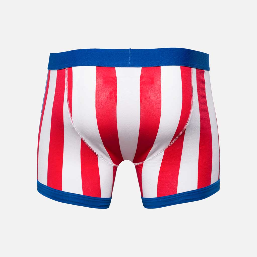 APOLLO CREED BRIEF - Contenders Clothing